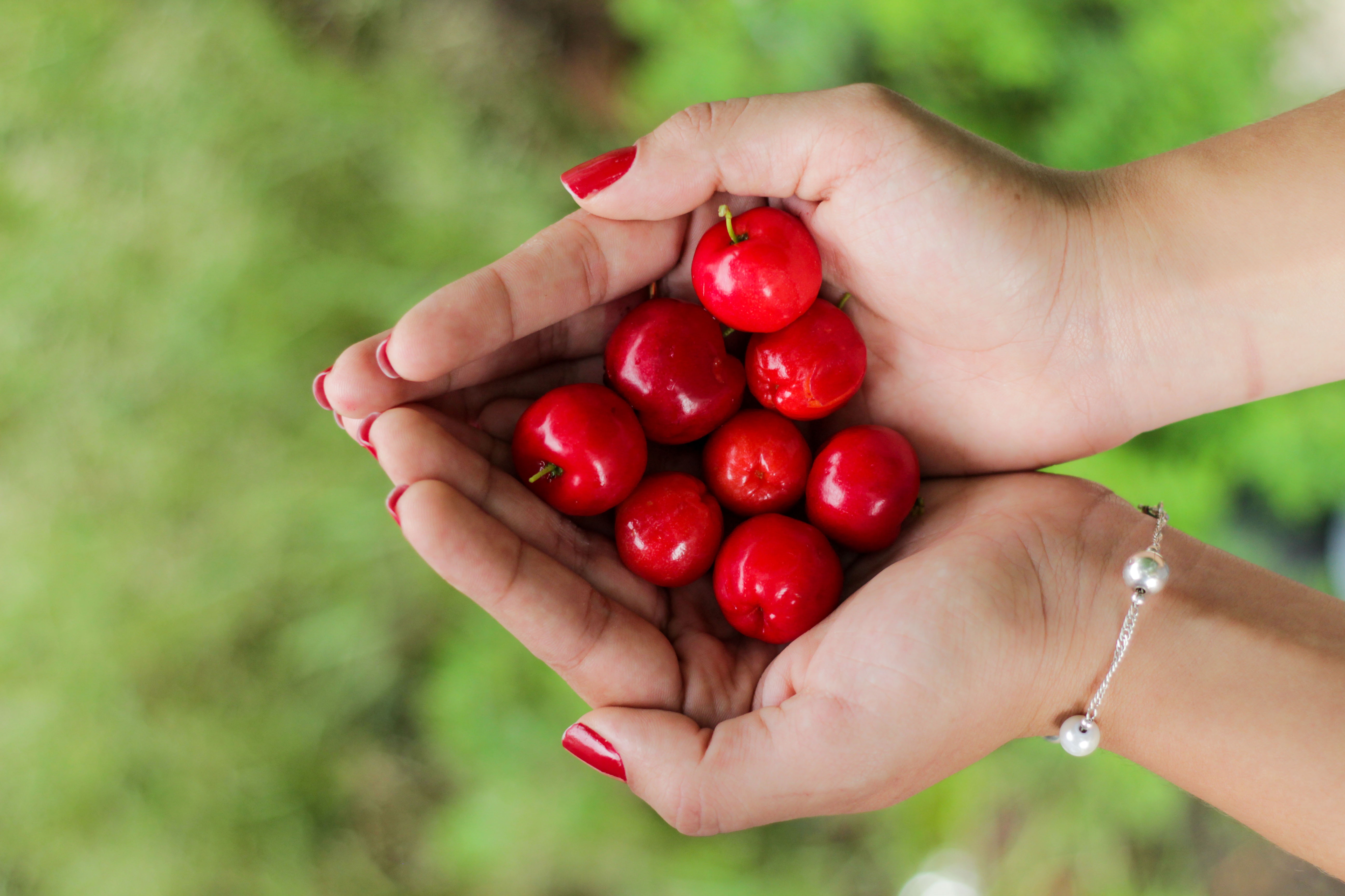 Picking Cherries